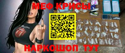гашик Камышлов