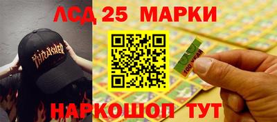 гашик Камышлов