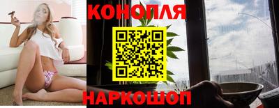 гашик Камышлов