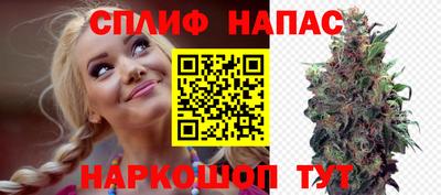 гашик Камышлов