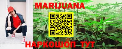 гашик Камышлов