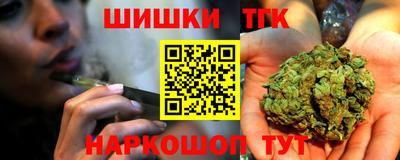 гашик Камышлов