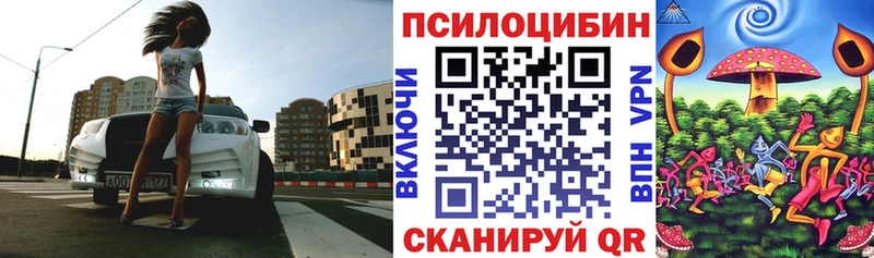 закладка  Новодвинск  Галлюциногенные грибы мухоморы 