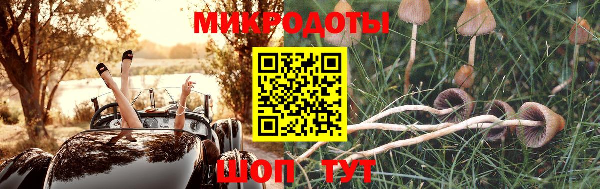 Новодвинск  Галлюциногенные грибы прущие грибы  Галлюциногенные грибы прущие грибы  Вход с VPN 