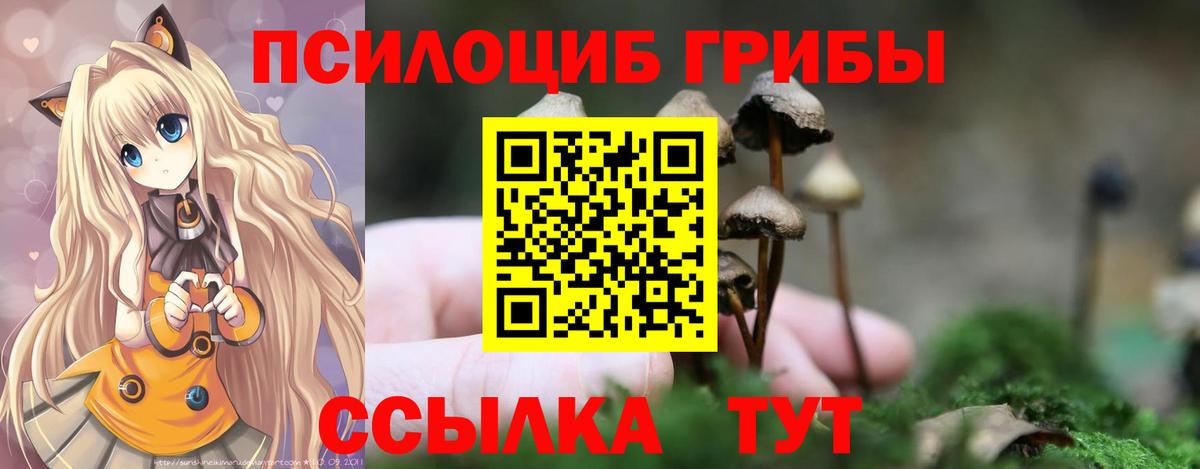 Галлюциногенные грибы ЛСД Новодвинск
