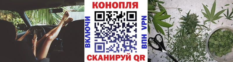 KRAKEN как зайти  Новодвинск  Марихуана тримм  где купить наркоту 
