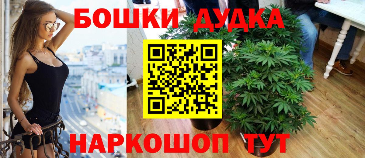 Бошки Шишки индика  Вход с VPN  Новодвинск  Бошки Шишки индика 